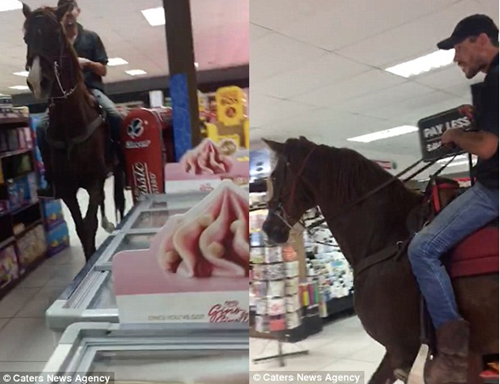 Cưỡi ngựa vào siêu thị mua sắm như chốn không người - Ảnh 2.