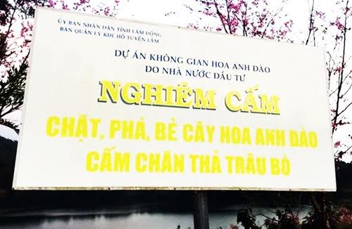 Nữ phó GĐ sở cãi bay vụ bẻ hoa, ‘tố’ báo chí quy chụp - Ảnh 2.