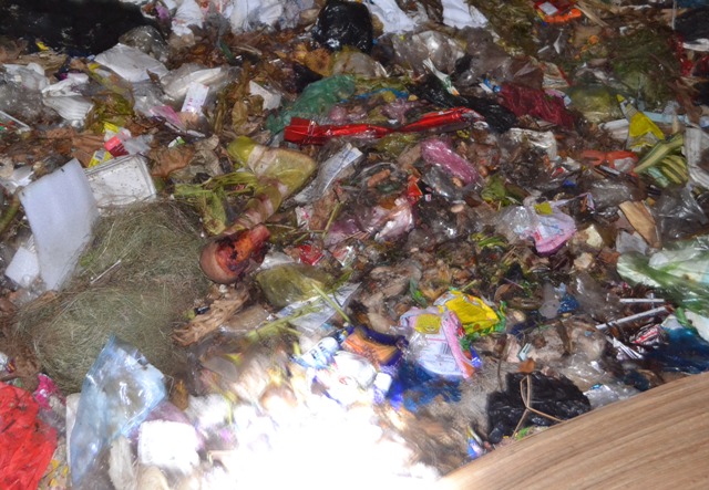 Phát hiện cẳng chân người trong túi nylon tại bãi rác lớn nhất Trà Vinh - Ảnh 3.