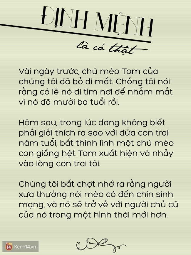 10 câu chuyện khiến bạn tin rằng định mệnh là điều kì diệu có thật! - Ảnh 4.