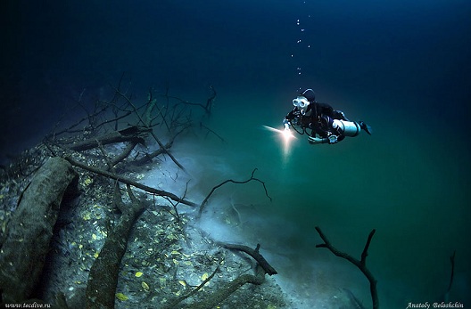 Vẻ đẹp kỳ bí của dòng sông ngầm đẹp nhất thế giới ở Mexico - Ảnh 4.