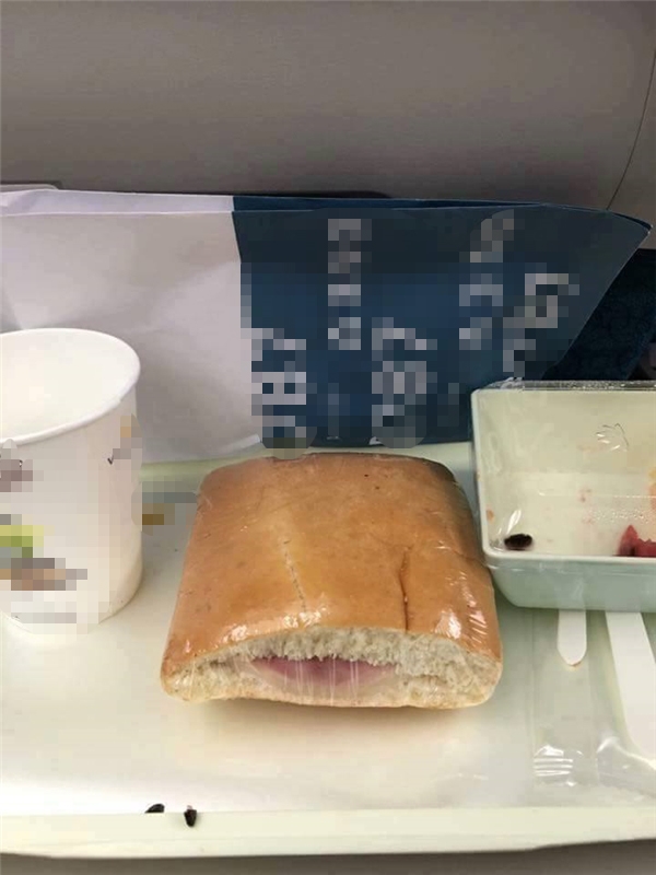 Cộng đồng mạng xôn xao vị khách cất bánh mì trên máy bay đem về - Ảnh 2.