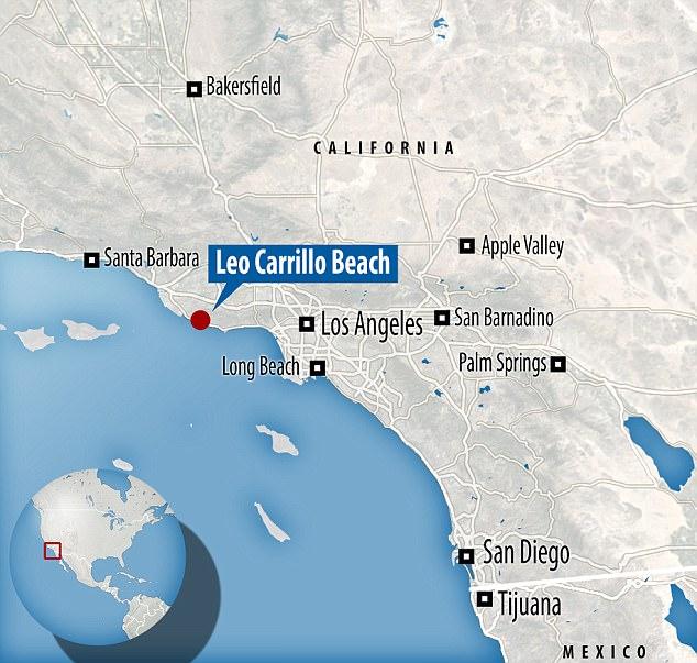 Phát hiện sinh vật kỳ lạ không mắt không miệng, chỉ có hai u trên bờ biển California - Ảnh 3.