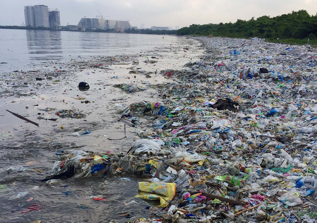 Cảnh báo: Số rác nhựa con người thải ra đã ngang ngửa 1 tỉ con voi cỡ bự - Ảnh 4.
