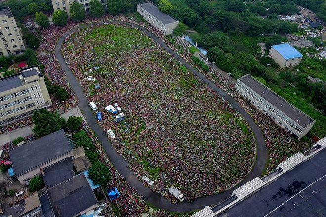 Cận cảnh “nghĩa địa” xe đạp khổng lồ tại Trung Quốc, mặt trái của nền kinh tế cho thuê - Ảnh 4.