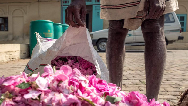 Kinh đô nước hoa của Ấn Độ, nơi cất giữ linh hồn của những mùi hương và cuộc chiến với ngành nước hoa công nghiệp - Ảnh 4.