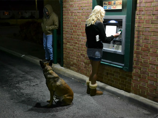 Những chú chó vào vai bảo kê máu mặt tại các cây ATM vào ban đêm - Ảnh 4.