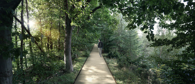 Ngắm con đường xoắn ốc chót vót đi xuyên qua rừng ở Đan Mạch - Ảnh 4.