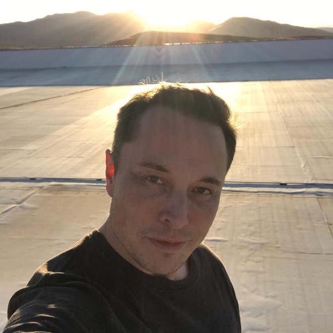 Elon Musk chia sẻ video về ngựa hoang vẫn sống ngay bên cạnh nhà máy khổng lồ Gigafactory - Ảnh 3.