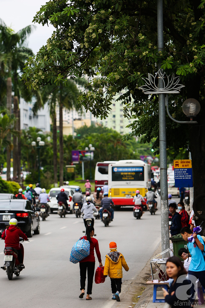  Hà Nội có một mùa hoa giá 0 đồng mà cả phố vương vấn mùi hương - Ảnh 4.