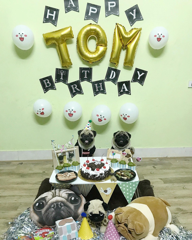 Em cún tên Tom 2 tuổi và tiệc mừng sinh nhật cực hoành tráng, còn mời cả bạn bè tới chơi - Ảnh 4.