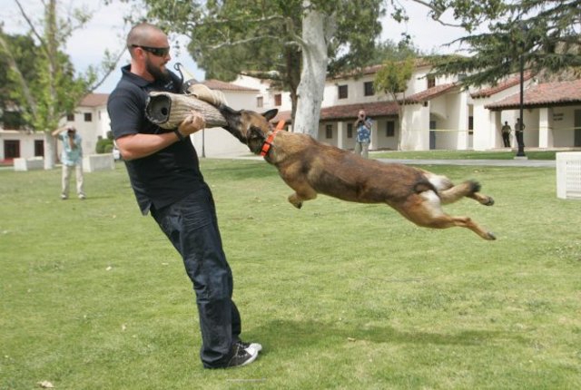 Cựu lính đặc nhiệm SEAL dạy bạn cách để phòng vệ khi bị chó tấn công - Ảnh 4.
