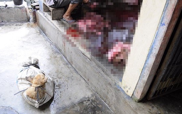 Khung cảnh man rợ trong khu trại thịt chó như địa ngục trần gian tại Indonesia - Ảnh 5.