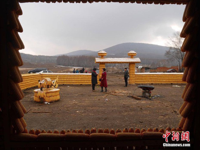 Trung Quốc: Nông dân xây nhà và nông trại từ 20.000 bắp ngô để thu hút khách du lịch - Ảnh 4.