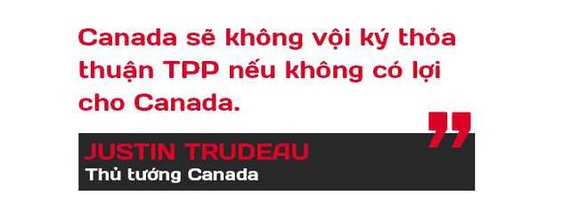 TPP-11: Vì sao thỏa thuận nguyên tắc suýt đổ vỡ phút 89 bởi Canada? - Ảnh 4.