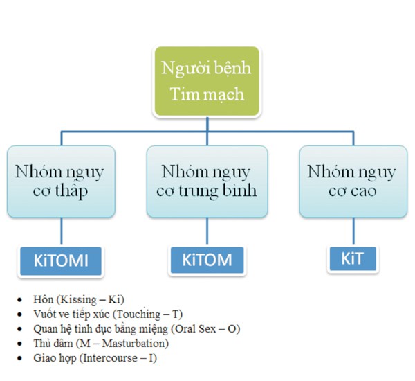 Hoạt động tình dục đối với người bệnh tim mạch - Ảnh 2.