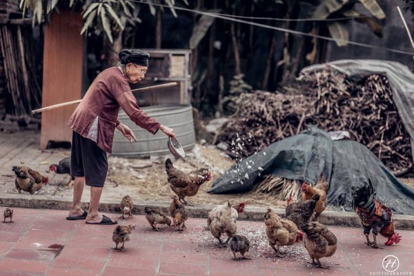 Bộ ảnh cúc họa mi ‘phiên bản’ bà ngoại khiến người ta phải mỉm cười ngay lập tức! - Ảnh 4.