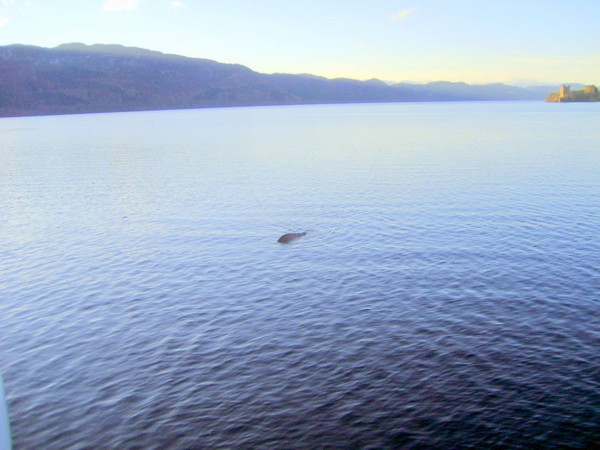 Những hình ảnh, bí ẩn và giả thuyết mới nhất về quái vật hồ Loch Ness - Ảnh 4.
