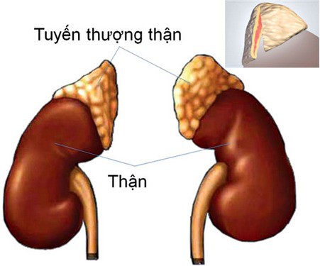 Dậy thì sớm, có cần điều trị? - Ảnh 1.