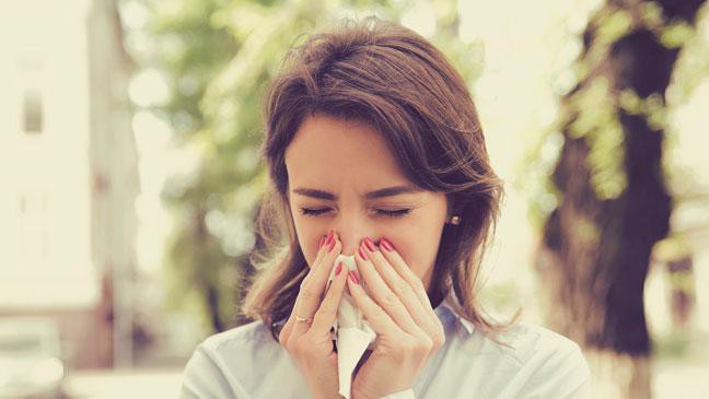 Chuyên gia Đông y bật mí nhà nào cũng có húng chanh vào mùa đông thì chẳng khác gì có thuốc quý trong nhà - Ảnh 4.