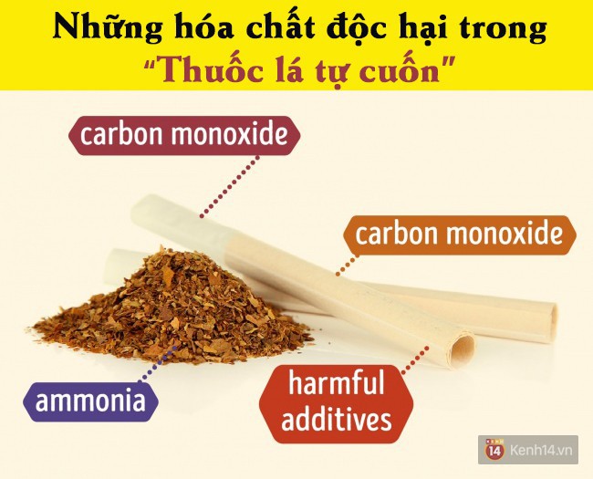 Khoa học điểm mặt tác hại kinh hoàng của tất tần tật loại thuốc lá bạn vẫn hút - Ảnh 4.