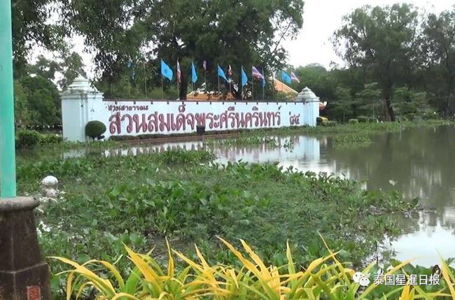 Thái Lan: Mặc kệ mưa lũ, người dân vô tư xẻ thịt cá sấu sổng chuồng giữa dòng nước - Ảnh 5.