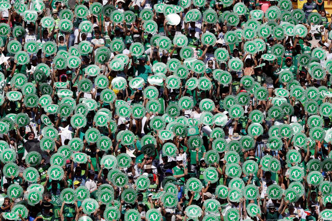 Đẫm nước mắt ngày đội bóng xấu số Chapecoense trở lại sân cỏ sau thảm họa rơi máy bay - Ảnh 5.