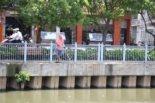 Cá chết trên kênh Nhiêu Lộc sau cơn mưa bất thường - Ảnh 5.