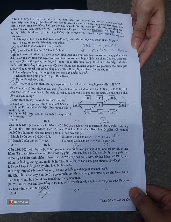 Đề thi môn Sinh học kỳ thi tốt nghiệp THPT quốc gia 2017 - Ảnh 5.