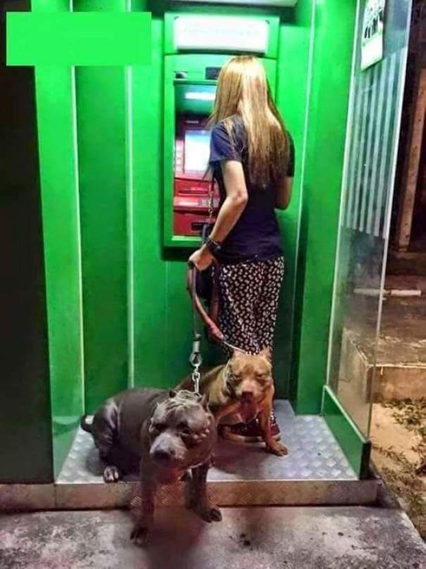 Những chú chó vào vai bảo kê máu mặt tại các cây ATM vào ban đêm - Ảnh 5.