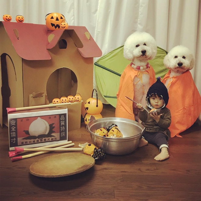 Loạt ảnh hóa trang Halloween hoành tráng nhất mạng xã hội của bé gái Nhật và những người bạn thú cưng - Ảnh 5.
