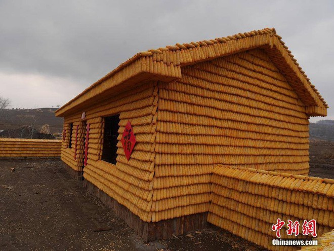 Trung Quốc: Nông dân xây nhà và nông trại từ 20.000 bắp ngô để thu hút khách du lịch - Ảnh 5.