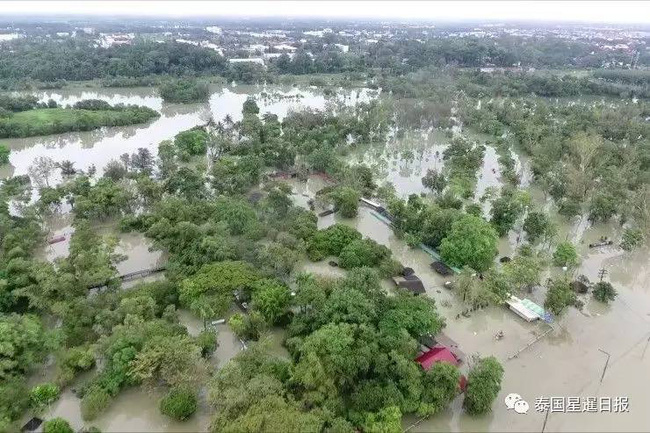 Thái Lan: Mặc kệ mưa lũ, người dân vô tư xẻ thịt cá sấu sổng chuồng giữa dòng nước - Ảnh 6.