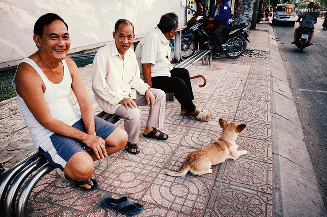 Những mẩu chuyện nhỏ xinh của người Sài Gòn yêu mèo, yêu chó! - Ảnh 6.