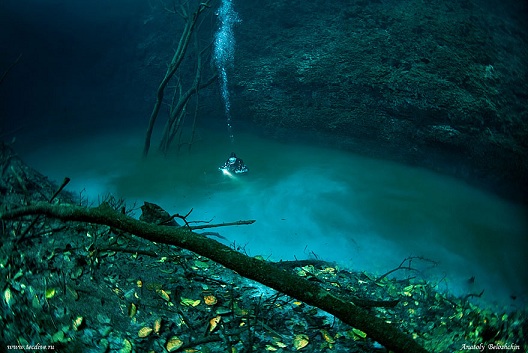 Vẻ đẹp kỳ bí của dòng sông ngầm đẹp nhất thế giới ở Mexico - Ảnh 6.