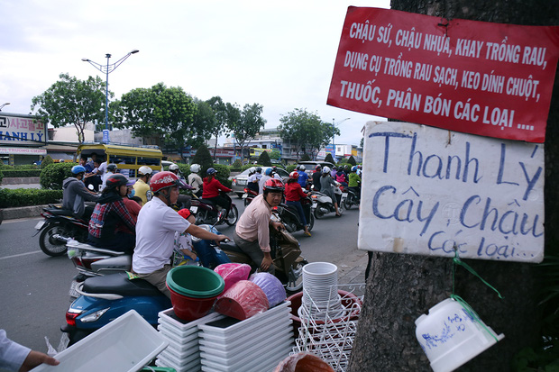 Hàng chục gian hàng gần sân bay Tân Sơn Nhất ồ ạt thanh lý chó, gà, cây cảnh, giao thông Sài Gòn hỗn loạn - Ảnh 5.