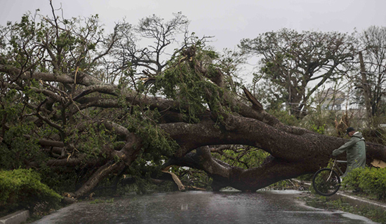  Siêu bão Irma cày nát phía Bắc Cuba, nhăm nhe tấn công Florida  - Ảnh 5.