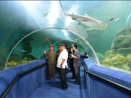 Du lịch Triều Tiên kiểu mới: Vừa tắm biển vừa ngắm bắn tên lửa - Ảnh 6.
