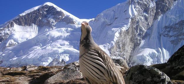 Nepal – Vùng đất vàng cho những chuyến hành trình để đời - Ảnh 6.