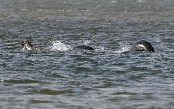 Những hình ảnh, bí ẩn và giả thuyết mới nhất về quái vật hồ Loch Ness - Ảnh 6.