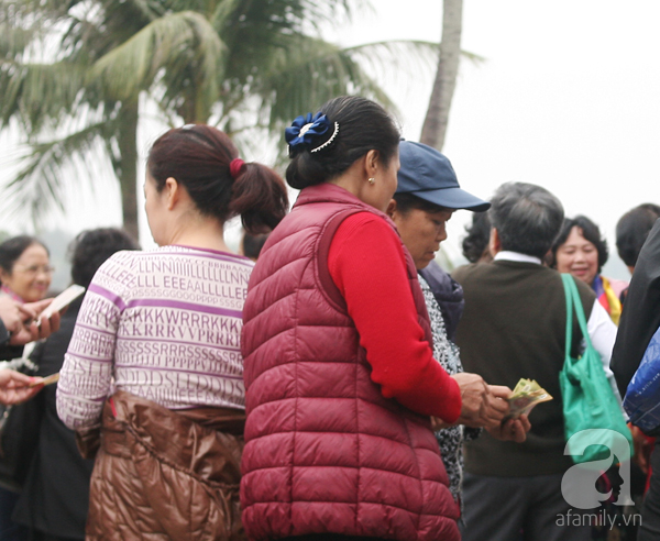  Lễ hội hoa hồng ở Hà Nội: Mới 1 ngày đã hết vé, người dân vạ vật mua vé chợ đen 250.000₫ - Ảnh 7.