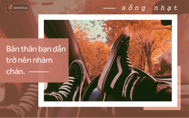 Bạn đang sống nhạt là vì cứ thế này đây - Ảnh 7.