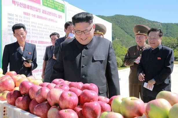 Ông Kim Jong-un thảnh thơi thăm vườn táo sau khi đáp trả lời đe dọa của ông Donald Trump - Ảnh 7.
