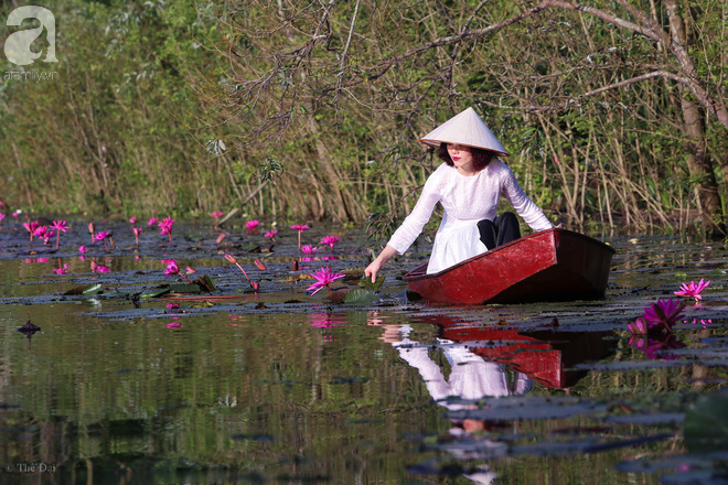  Đâu chỉ có lá vàng, thu Hà Nội còn là mùa nước nở hoa tím, đẹp lịm tim thế này - Ảnh 7.