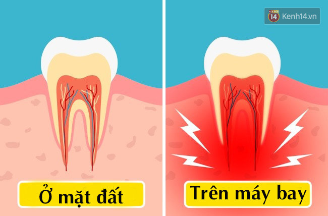 Cơ thể sẽ phải chịu 9 điều này khi đi máy bay mà bạn lại không hề biết - Ảnh 8.