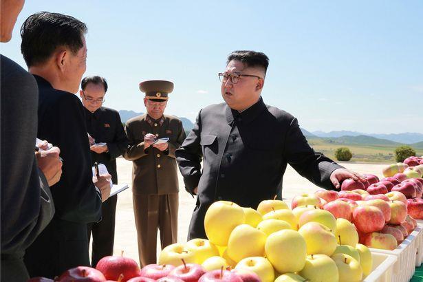 Ông Kim Jong-un thảnh thơi thăm vườn táo sau khi đáp trả lời đe dọa của ông Donald Trump - Ảnh 8.