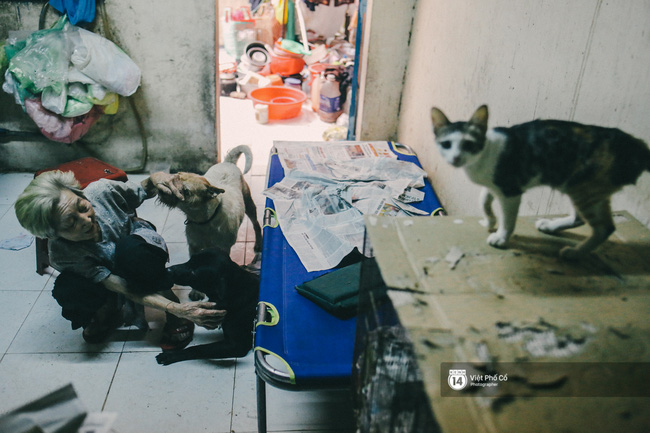 Cụ bà cưu mang 50 đứa con chó mèo trong căn nhà ẩm thấp ở Sài Gòn giờ ra sao? - Ảnh 9.