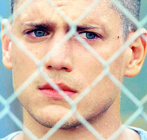 Wentworth Miller - Chàng trai Michael Scofield năm ấy chúng ta cùng theo đuổi - Ảnh 3.