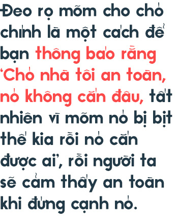 Từ vấn đề bắt nhốt chó ở TP.HCM: Hãy biết yêu thú cưng một cách văn minh và thấu hiểu! - Ảnh 9.