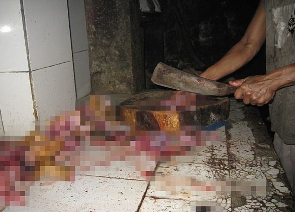 Khung cảnh man rợ trong khu trại thịt chó như địa ngục trần gian tại Indonesia - Ảnh 10.